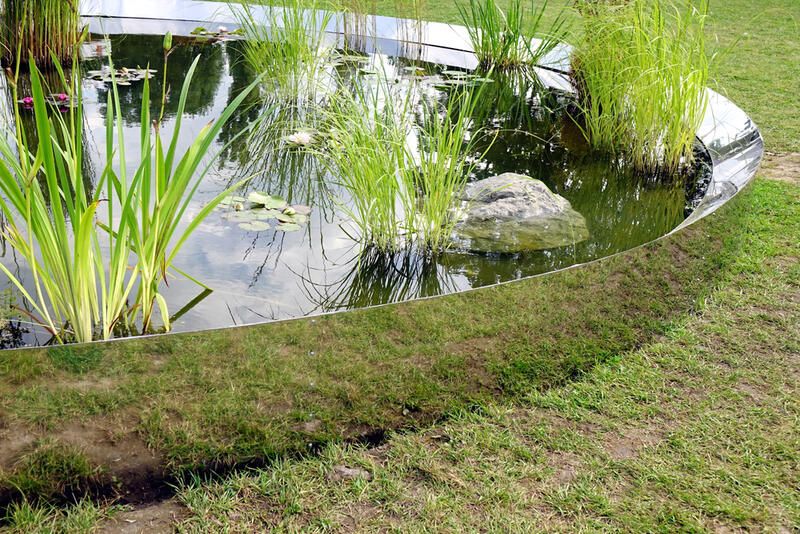 Best Small Pond Ideas for Your Garden - Shrubhub
