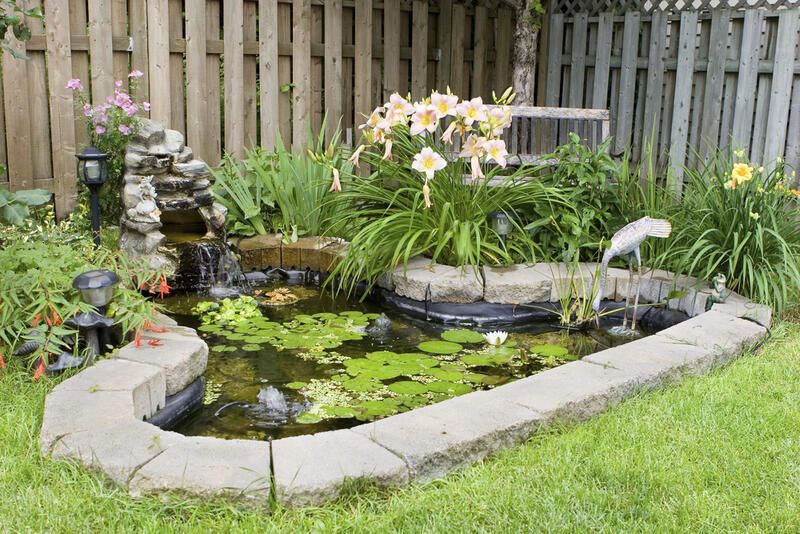 Best Small Pond Ideas for Your Garden - Shrubhub