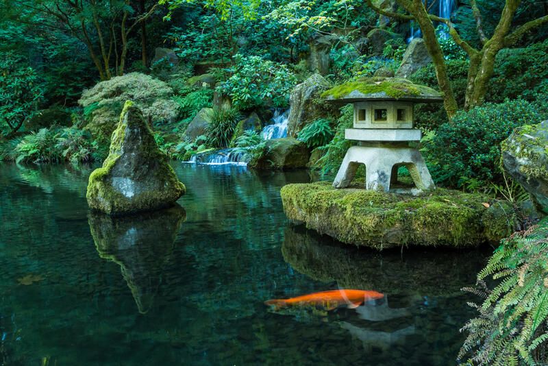 The Best Japanese Garden Ideas  - Shrubhub