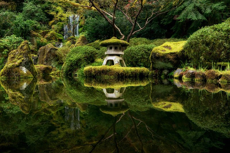 The Best Japanese Garden Ideas  - Shrubhub