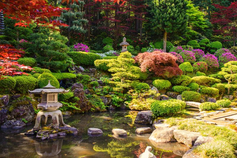 The Best Japanese Garden Ideas  - Shrubhub