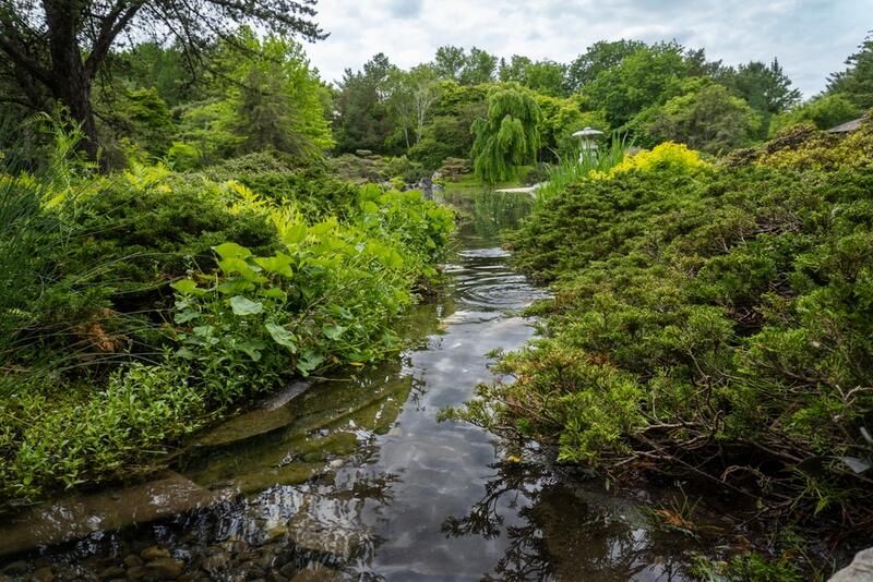 The Best Japanese Garden Ideas  - Shrubhub