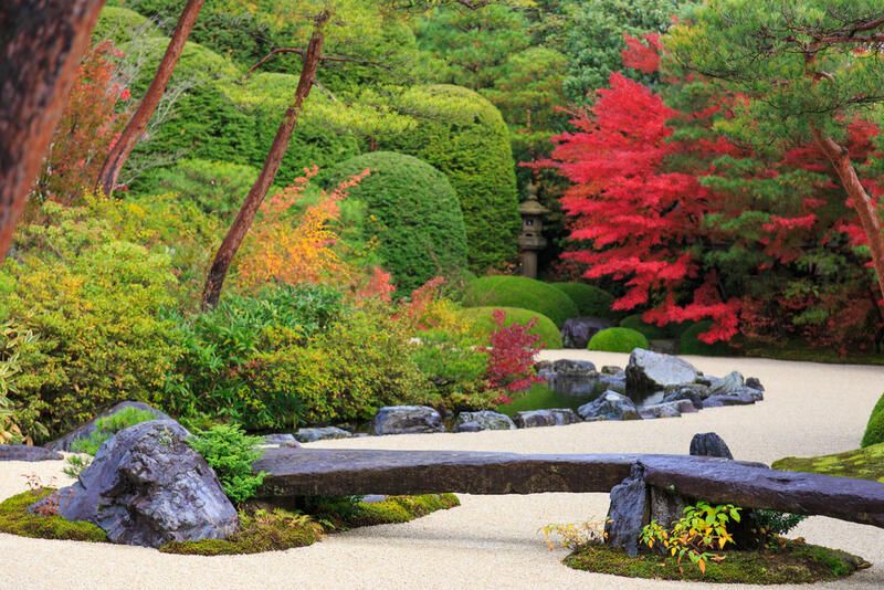 The Best Japanese Garden Ideas  - Shrubhub