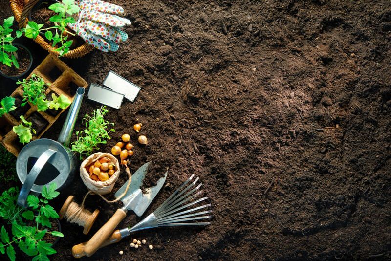 Improve Garden Soil: Make Your Soil Sing with These Tips! - Shrubhub