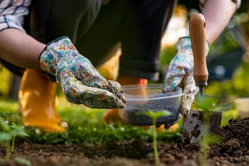 Improve Garden Soil: Make Your Soil Sing with These Tips! - Shrubhub