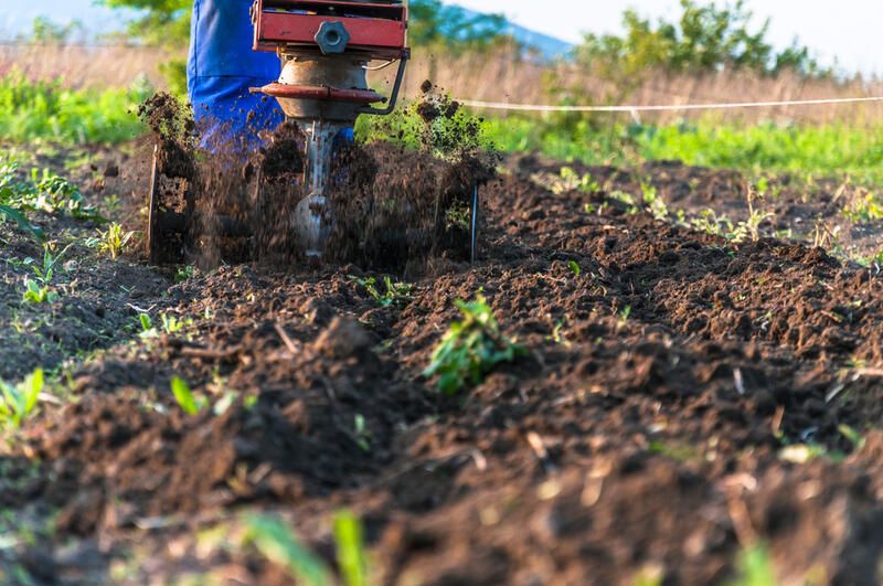 Improve Garden Soil: Make Your Soil Sing with These Tips! - Shrubhub