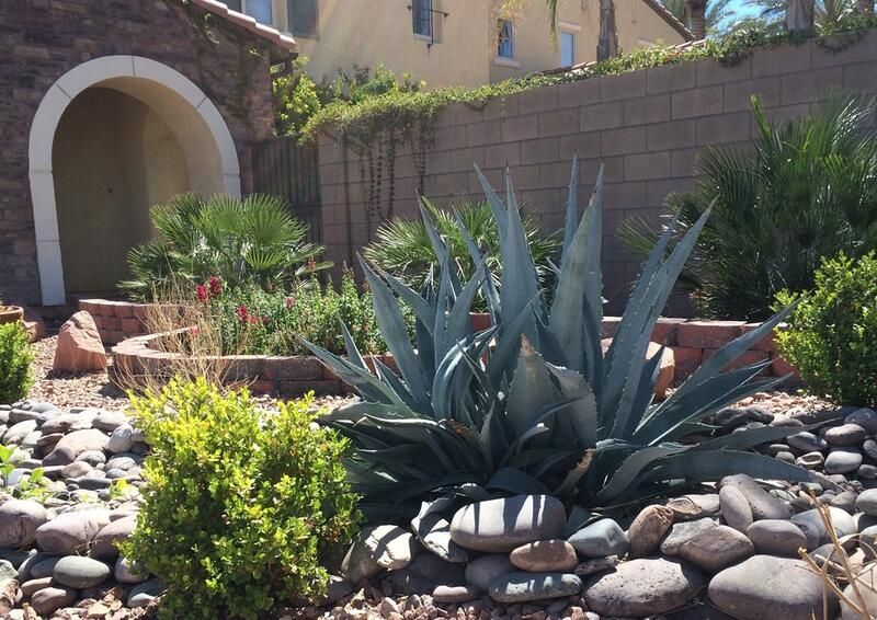 Elevate Your Desert Landscape Design With These Clever Tricks - Shrubhub