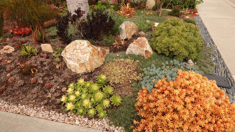 Elevate Your Desert Landscape Design With These Clever Tricks - Shrubhub