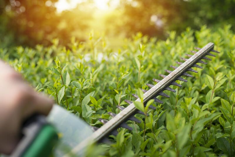 6 Reasons Why Commercial Landscape Maintenance Generates Profit - Shrubhub