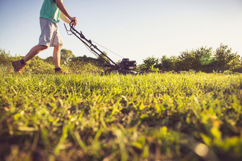 6 Reasons Why Commercial Landscape Maintenance Generates Profit  - Shrubhub