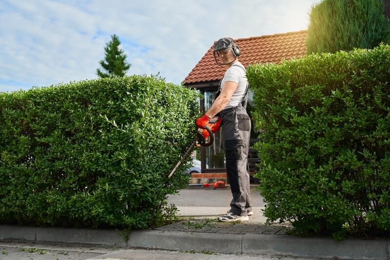 6 Reasons Why Commercial Landscape Maintenance Generates Profit  - Shrubhub