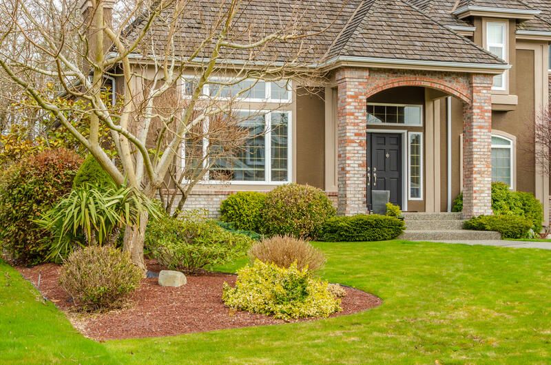 Everything to Know: Low Maintenance Front Yard Landscaping - Shrubhub