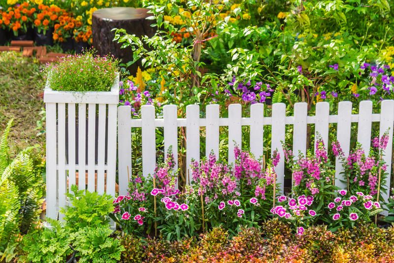 Everything to Know: Low Maintenance Front Yard Landscaping - Shrubhub