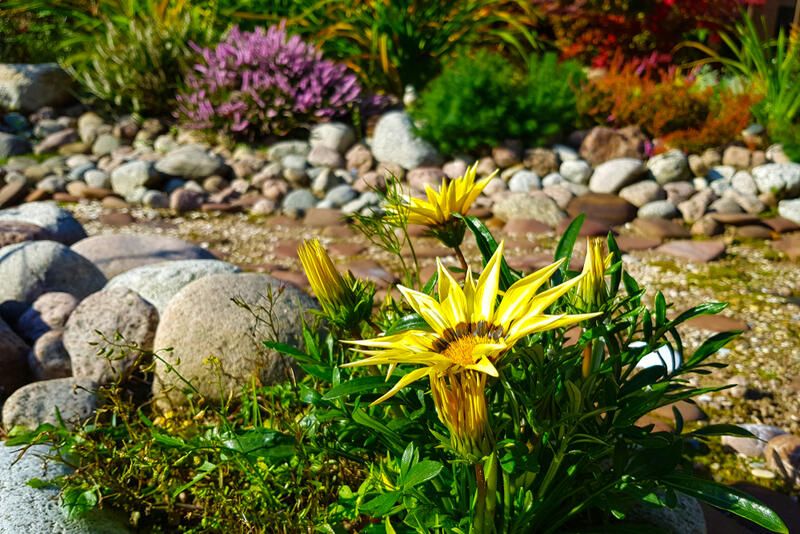 Tips & Tricks to River Rock Landscaping - Shrubhub