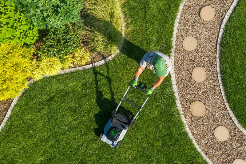 Tips & Tricks to River Rock Landscaping - Shrubhub