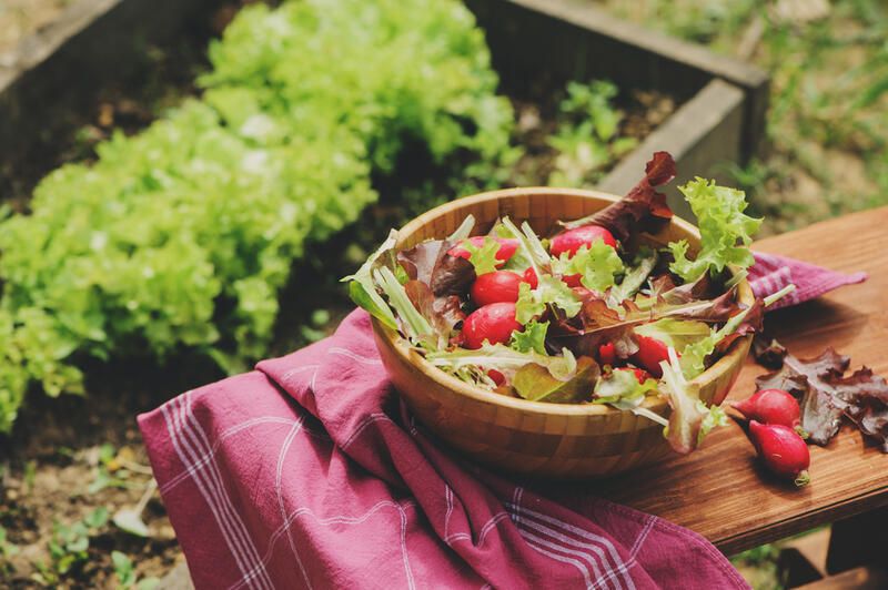 Edible Landscaping Tips For Creating The Perfect Garden - Shrubhub