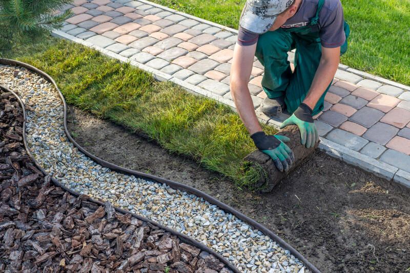 Residential Landscaping: Everything You Need To Know - Shrubhub