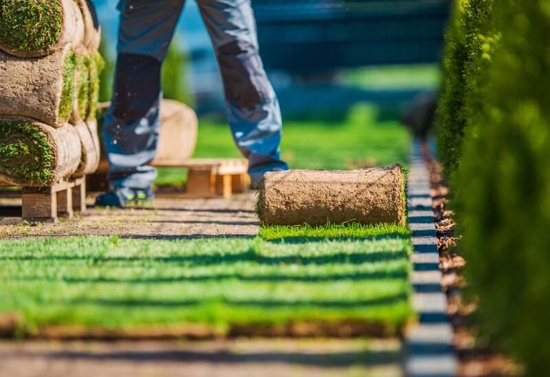 Residential Landscaping: Everything You Need To Know - Shrubhub