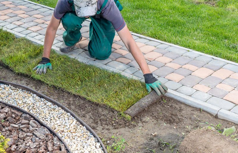 Residential Landscaping: Everything You Need To Know - Shrubhub