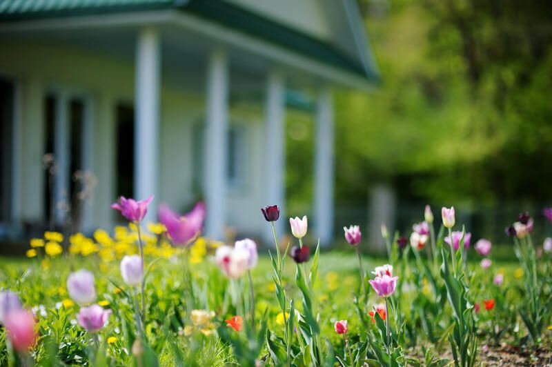 12 Modern Front Porch Ideas To Give Your Yard A Glow-Up! - Shrubhub