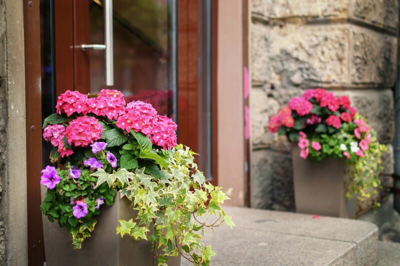 12 Modern Front Porch Ideas To Give Your Yard A Glow-Up! - Shrubhub