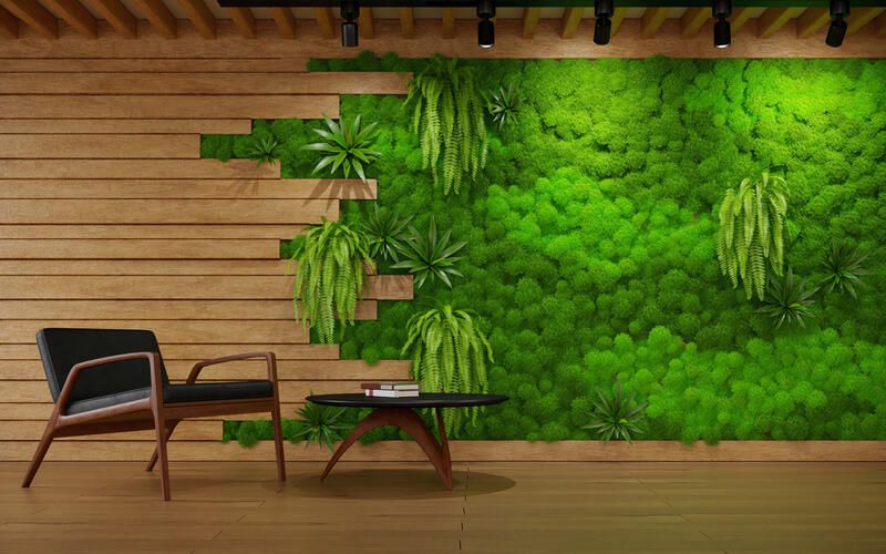Create a Magical Garden with These Moss Landscape Design Ideas! - Shrubhub