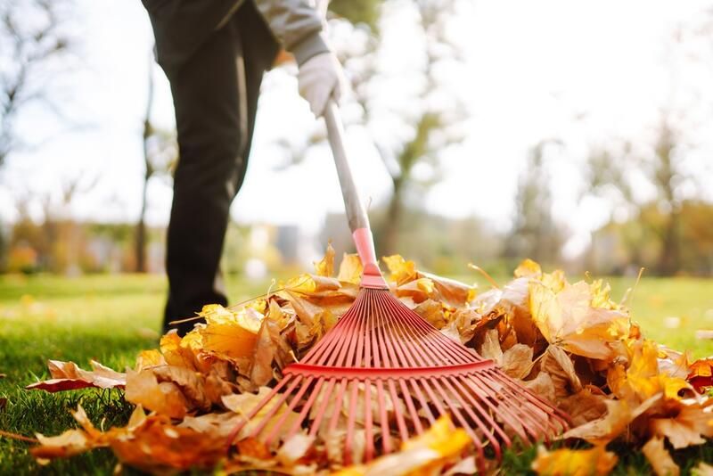 Spring Clean-Up Landscaping Checklist for a Summer-ready Yard
