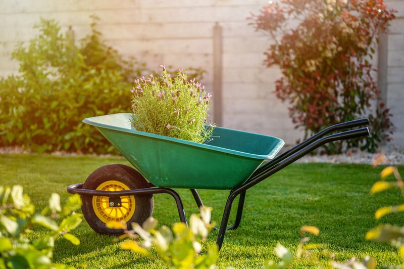 8 Fairy Garden Ideas: Landscaping Projects That Bring Magic to Your Outdoor Space - Shrubhub