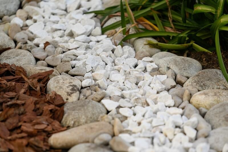 Everything to Know About Dry Creek Bed Landscaping - Shrubhub