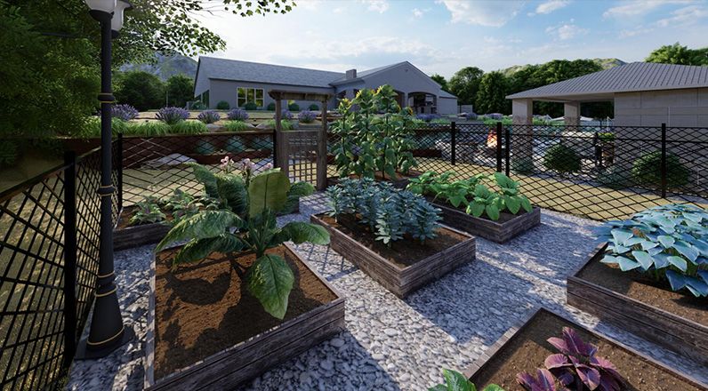 Top Side Yard Landscaping Ideas: Maximize Your Space - Shrubhub