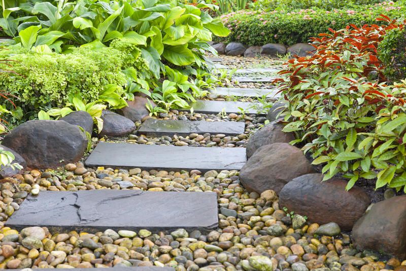 Best Border Ideas For Landscaping - Shrubhub