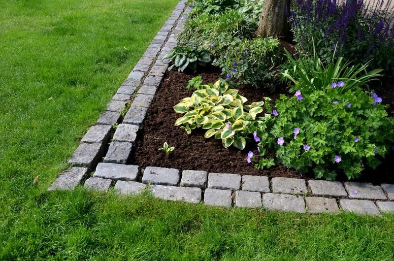 Best Border Ideas For Landscaping - Shrubhub