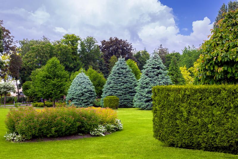 Create Your Personal Oasis with These Privacy Landscaping Ideas - Shrubhub