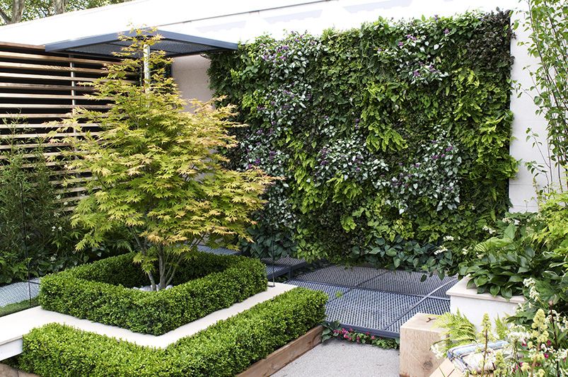 11 Inventive Yard Design Ideas To Add Privacy To Your Yard Or Patio - Shrubhub