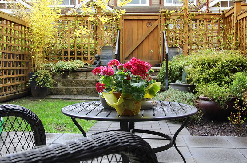 11 Inventive Yard Design Ideas To Add Privacy To Your Yard Or Patio - Shrubhub