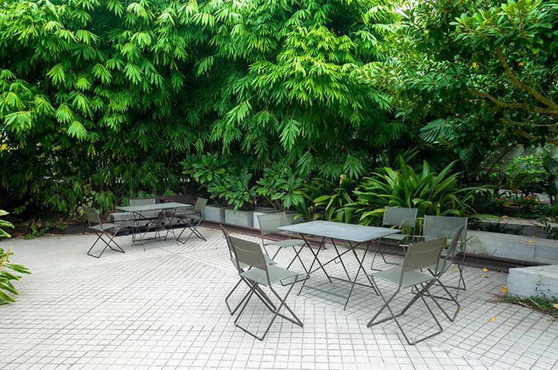 11 Inventive Yard Design Ideas To Add Privacy To Your Yard Or Patio - Shrubhub