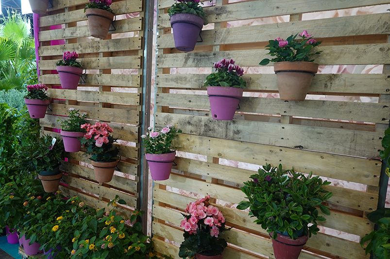 11 Inventive Yard Design Ideas To Add Privacy To Your Yard Or Patio - Shrubhub