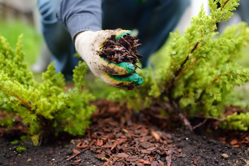 10 Gorgeous Mailbox landscaping Ideas - Shrubhub