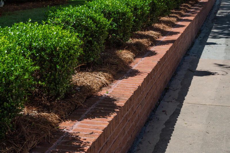 Stunning Landscape Retaining Wall Ideas That Won't Break the Bank - Shrubhub