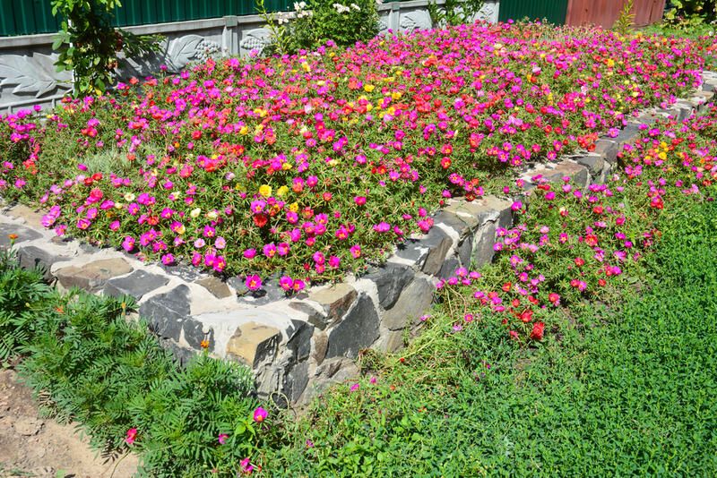 The World of Raised Stone Garden Beds - Shrubhub