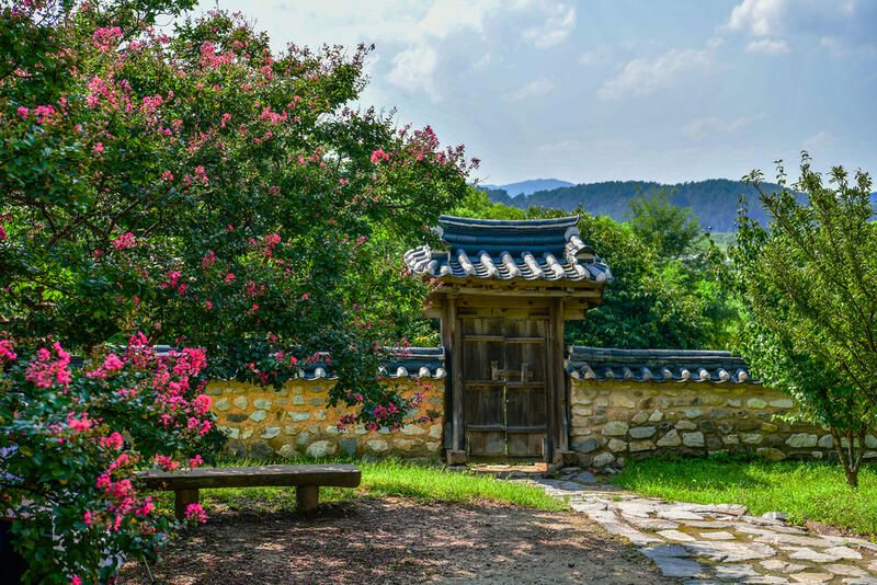 A Guide to Korean Landscaping - Shrubhub