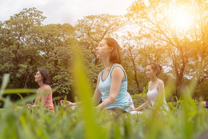 15 Relaxing Landscaping Ideas For Creating A Meditation Garden - Shrubhub