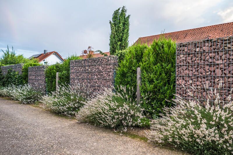 Everything You Need To Know Before Building a Gabion wall  - Shrubhub