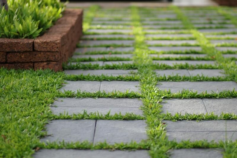 Charming Walkway Ideas to Make Your Garden More Inviting - Shrubhub