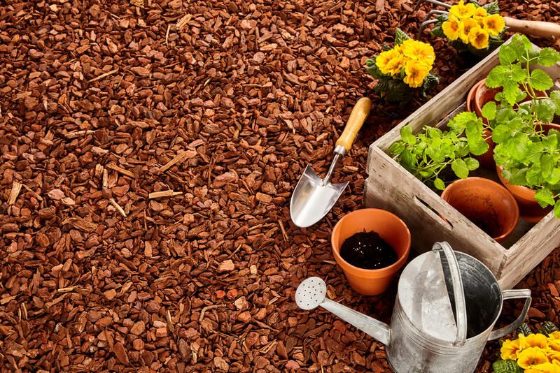 Your Guide to Landscape Mulch: What Is Mulch and How to Use It in Your Garden? - Shrubhub