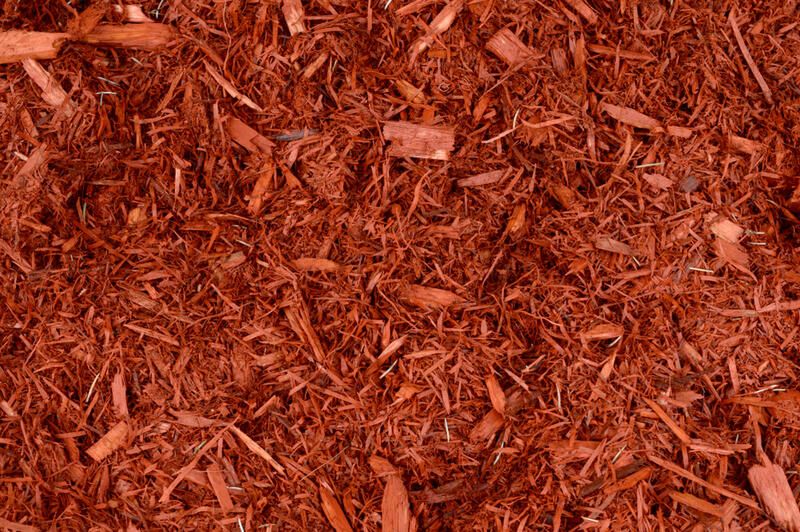 Your Guide to Landscape Mulch: What Is Mulch and How to Use It in Your Garden? - Shrubhub