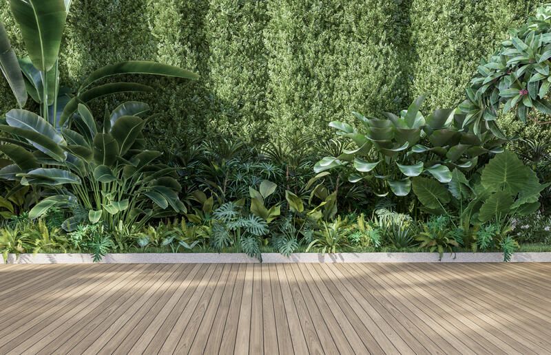 Create an At-Home Getaway with These Tropical Landscaping Ideas  - Shrubhub