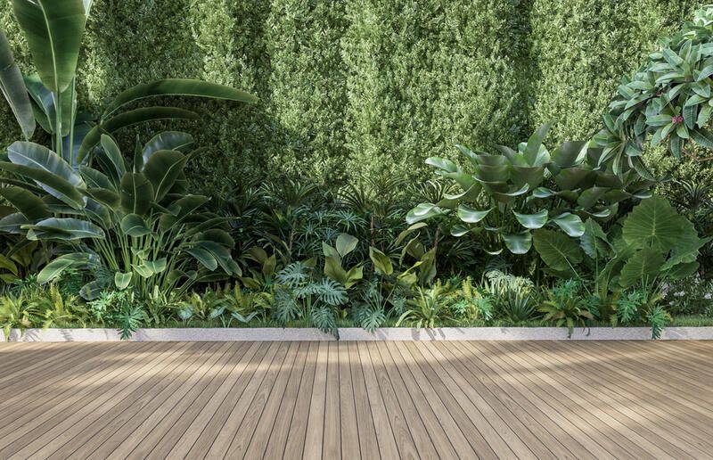 Create an At-Home Getaway with These Tropical Landscaping Ideas - Shrubhub