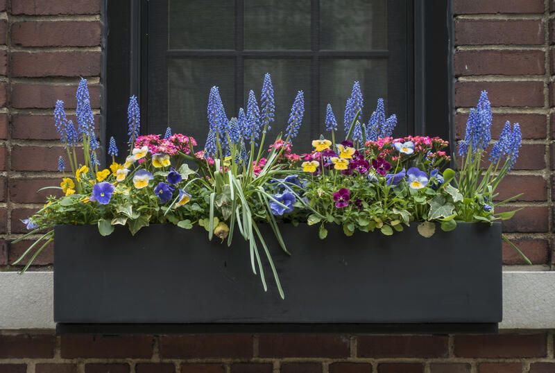 Window Planters for Gorgeous Blooms - Shrubhub