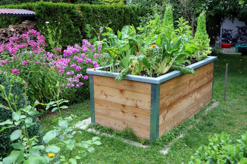 Grow It Yourself: Raised Vegetable Gardens - Shrubhub